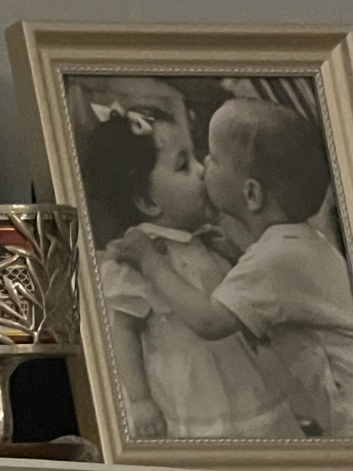 400mm Telephoto Lens for iPhone & Android - HD Phone Telescope with FMC 7-Layer Optical Coating, Universal Clip, Eyepiece & Carrying Case for Wildlife, Sports & Travel customer photo 1