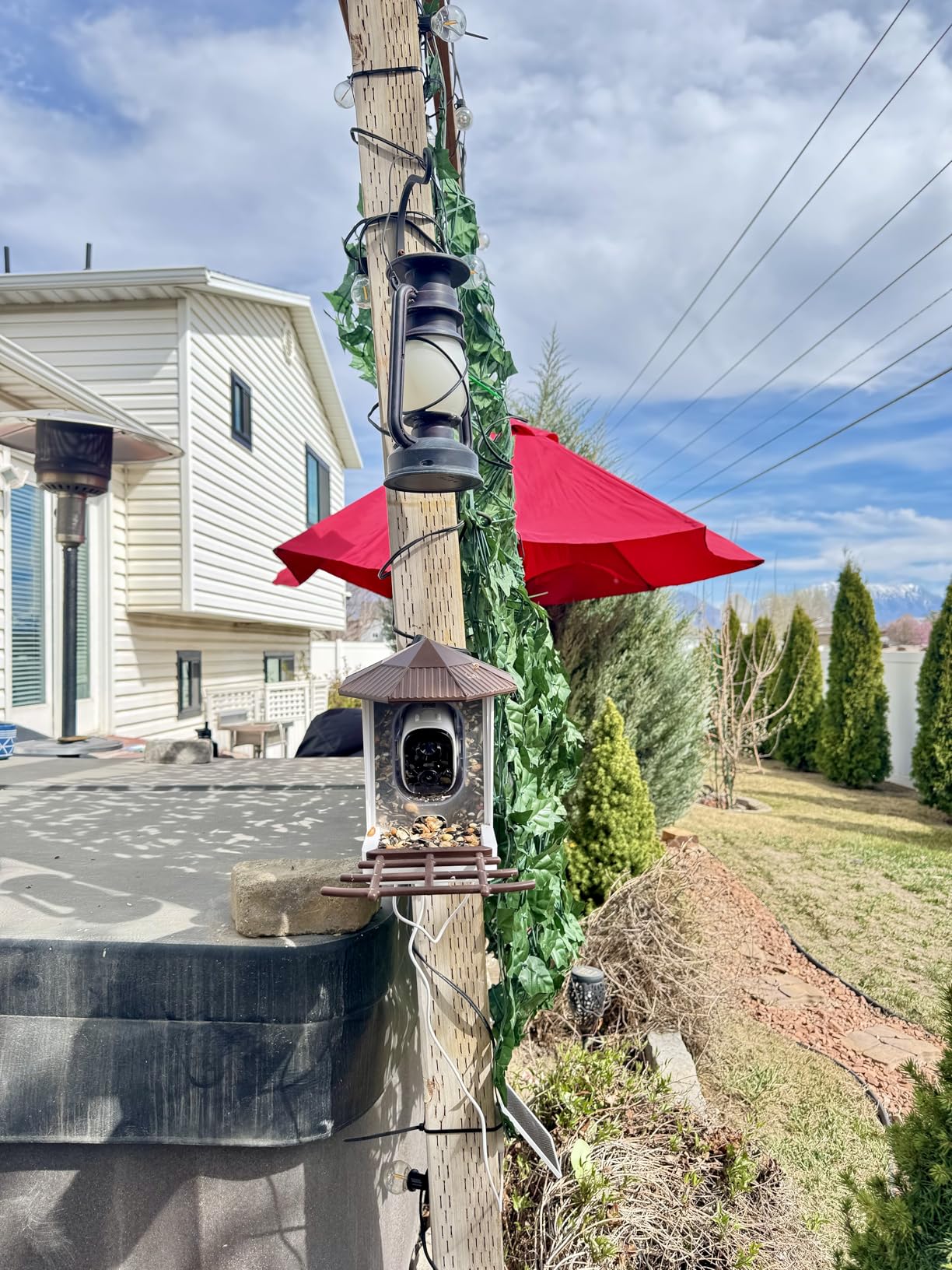 wansview Bird Feeder with Camera-Smart Bird Feeders for Outdoors Solar Powered, Birdhouse with Cam & Alert, 2K HD Live Video, AI Identify Species, Ideal Gift for Tech Lovers, F1, Brown, 2.4G WiFi customer photo 2