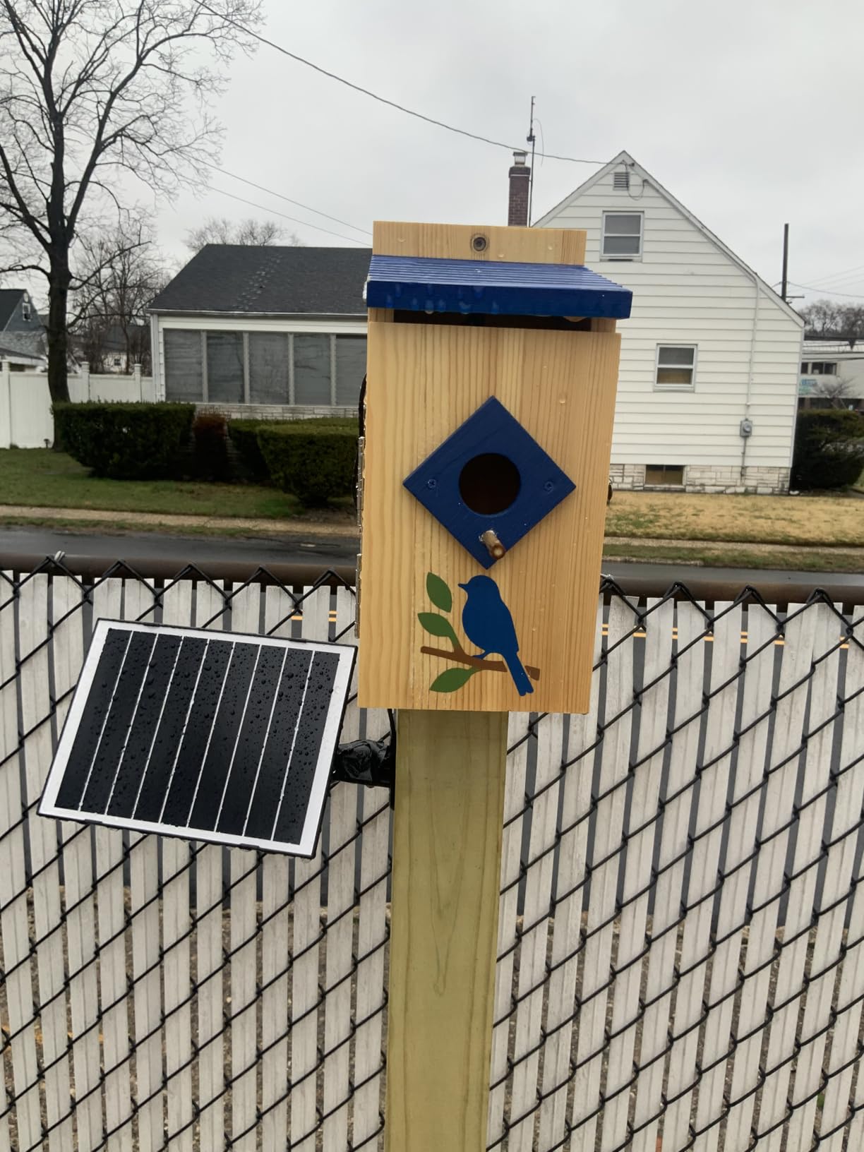 Smart Bird House with Camera Solar Powered,Isolated Camera Bay & Bird-Safe Varnish, 2K HD Pinewood Birdhouse with Camera Inside,Smart Bird Nest Box,Auto Detection for Backyard Birdwatching customer photo 1