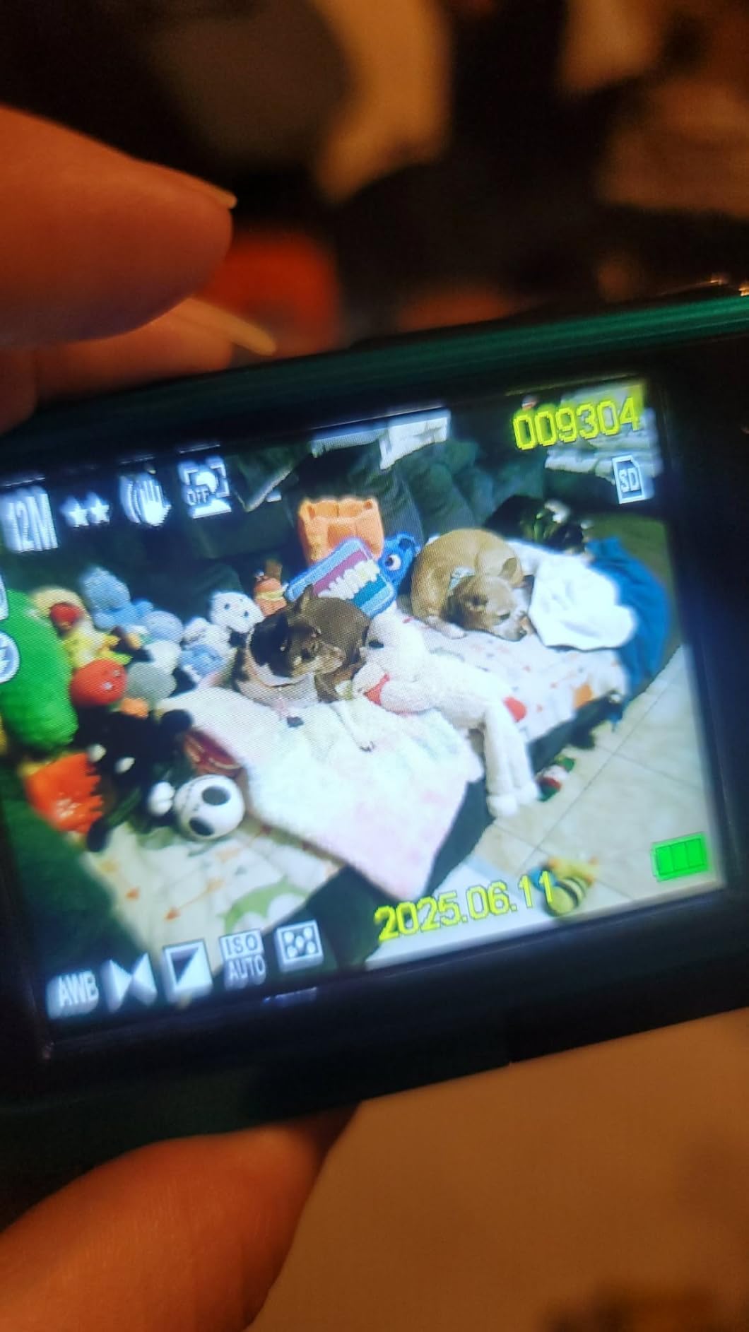 4K Underwater Camera 16FT Waterproof Camera with 32GB Card 64MP Autofocus Dual-Screen Selfie Underwater Camera for Snorkeling Waterproof Compact Floatable Digital Camera 1250mAh Battery Type-C customer photo 1