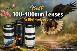 Best 100-400mm Lenses for Bird Photography