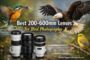 Best 200-600mm Lenses for Bird Photography