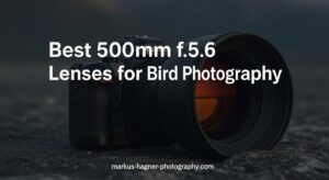 Best 500mm f/5.6 Lenses for Bird Photography