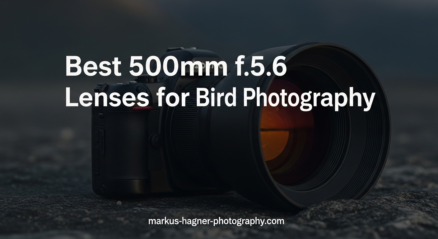 Best 500mm f/5.6 Lenses for Bird Photography