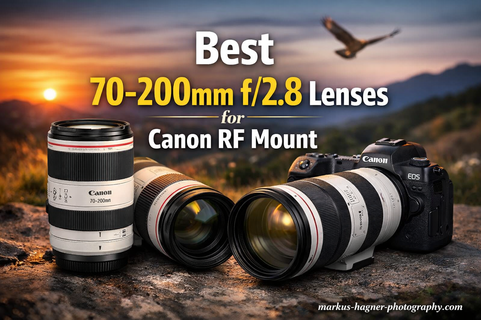 Best 70-200mm f/2.8 Lenses for Canon RF Mount