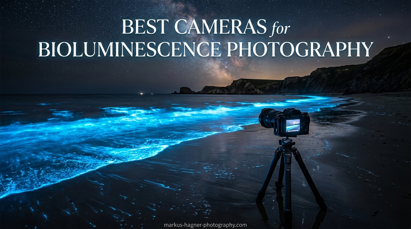 Best Cameras for Bioluminescence Photography