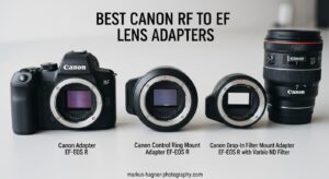 Best Canon RF to EF Lens Adapters