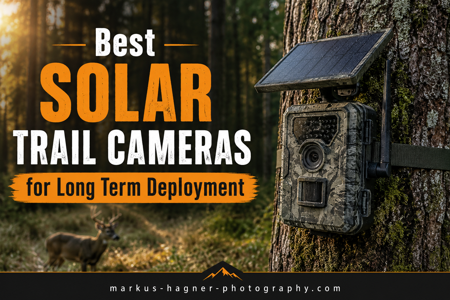 Best Solar Trail Cameras for Long Term Deployment
