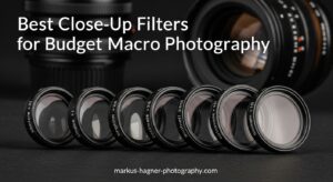 Best Close-Up Filters for Budget Macro Photography