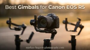 Best Gimbals for Canon EOS R5