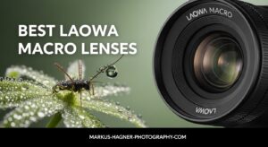 Best Laowa Macro Lenses