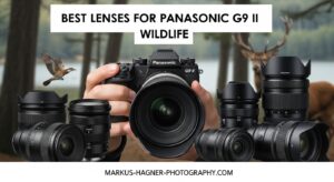 Best Lenses for Panasonic G9 II Wildlife