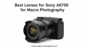 Best Lenses for Sony A6700 for Macro Photography