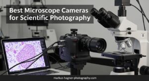Best Microscope Cameras for Scientific Photography
