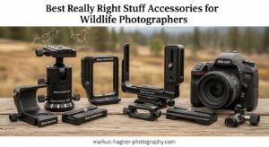Best Really Right Stuff Accessories for Wildlife Photographers