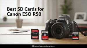 Best SD Cards for Canon EOS R50