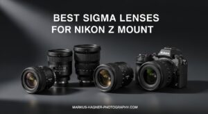Best Sigma Lenses for Nikon Z Mount