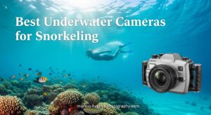 Best Underwater Cameras for Snorkeling