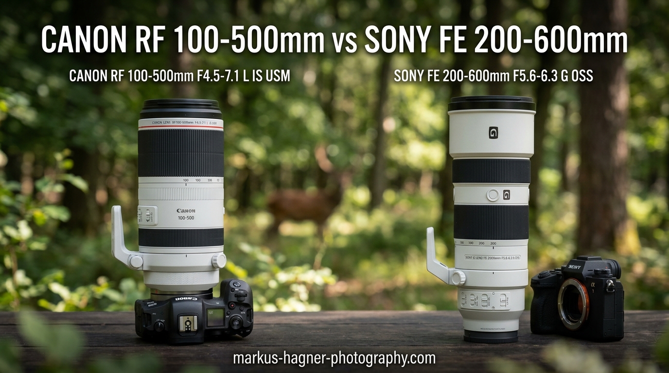 Canon RF 100-500mm vs Sony FE 200-600mm