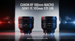 Canon RF 100mm Macro vs Sony FE 100mm STF GM