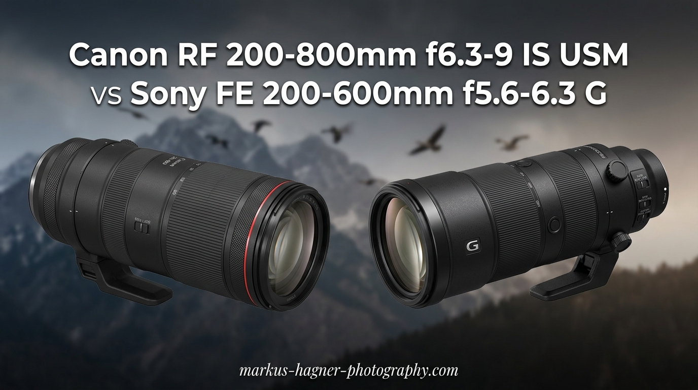 Canon RF 200-800mm f6.3-9 IS USM vs Sony FE 200-600mm f5.6-6.3 G