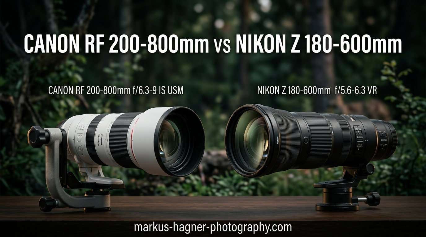 Canon RF 200-800mm vs Nikon Z 180-600mm