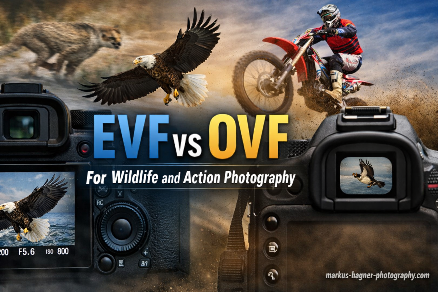 EVF vs OVF for Wildlife and Action Photography