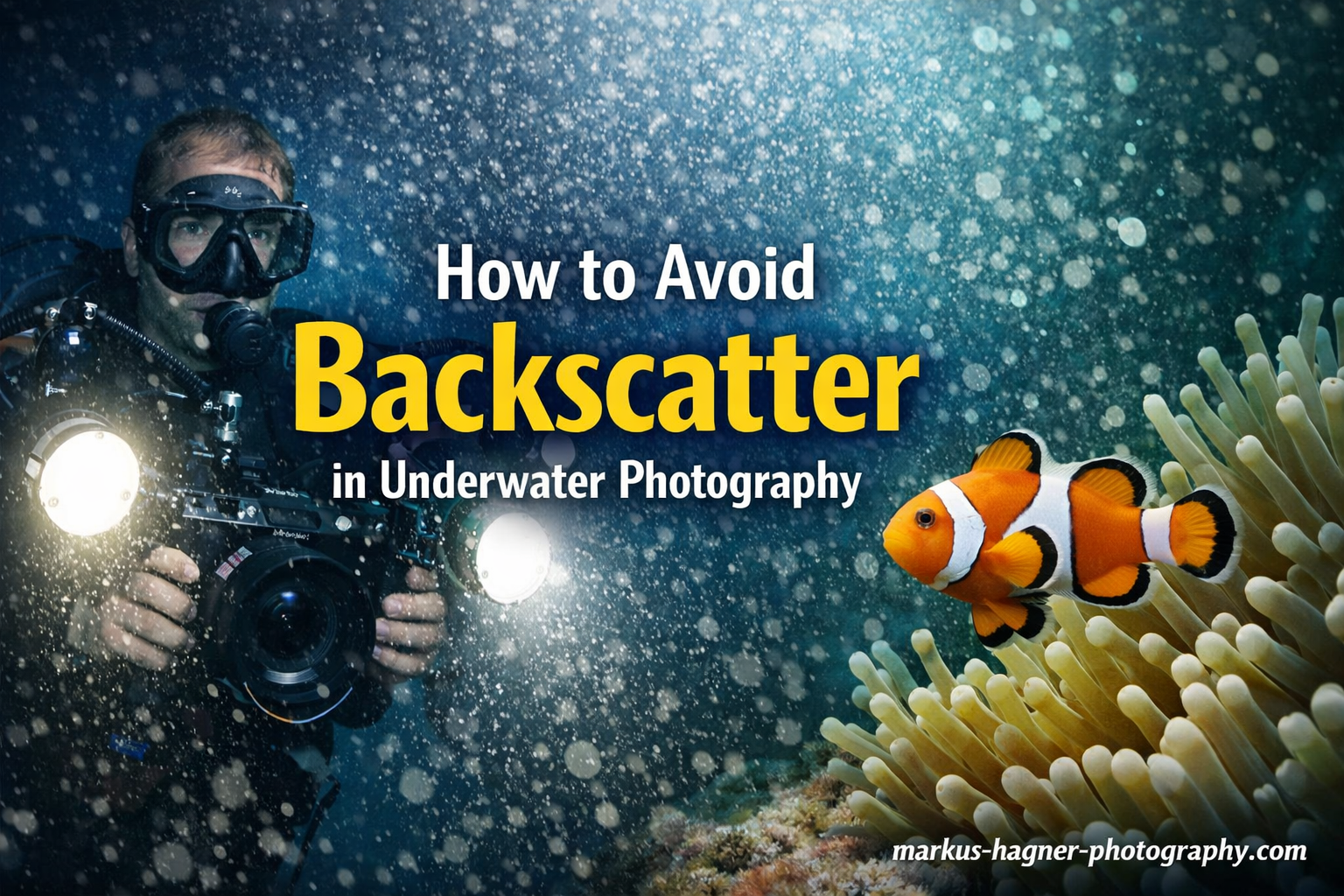How to Avoid Backscatter in Underwater Photography