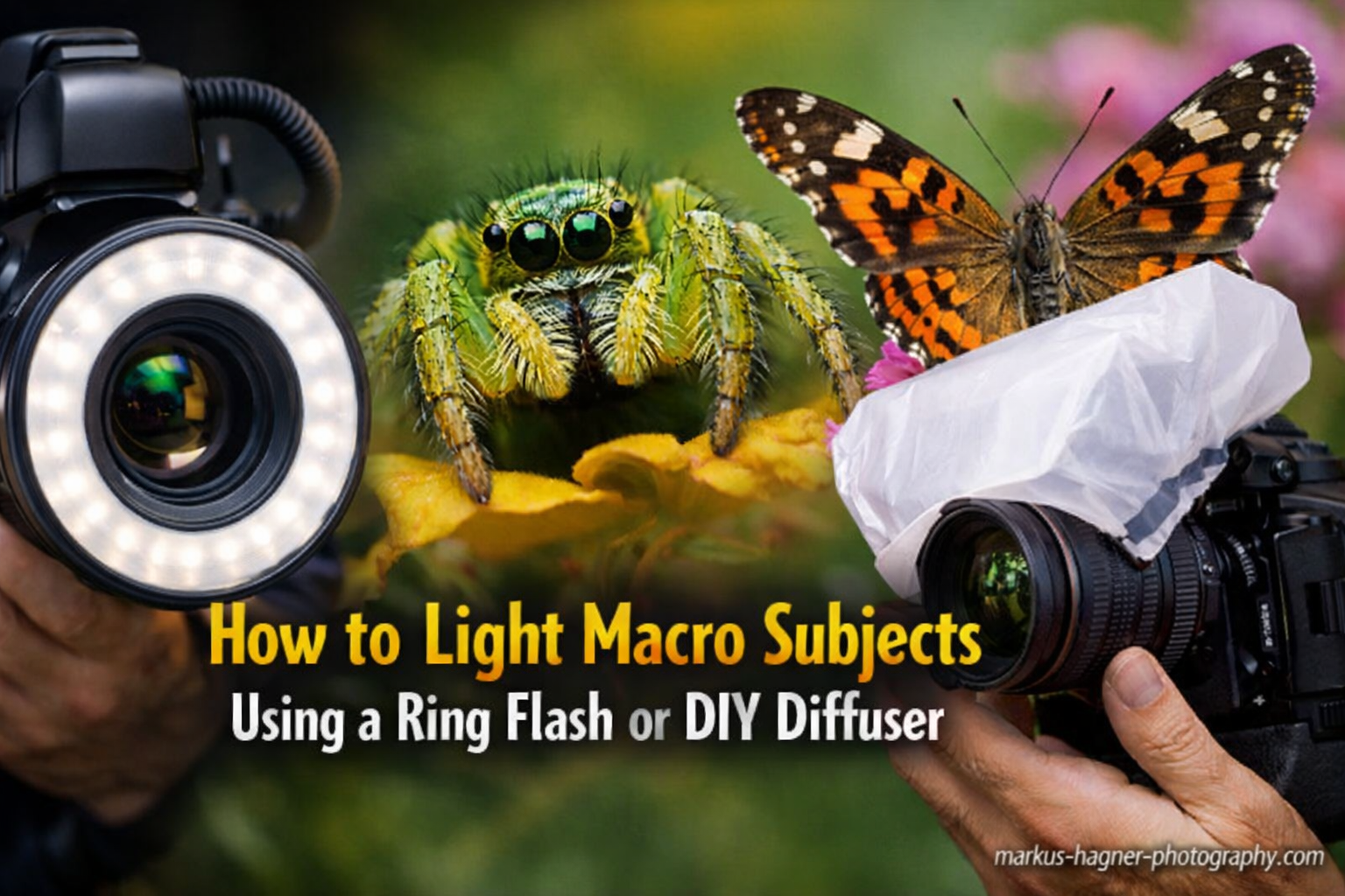 How to Light Macro Subjects Using a Ring Flash or DIY Diffuser