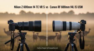 Nikon Z 600mm f4 TC VR S vs Canon RF 600mm f4L IS USM