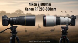 Nikon Z 800mm vs Canon RF 200-800mm