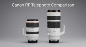 Canon RF 100-300mm f2.8L IS USM vs Canon RF 70-200mm f2.8L IS USM