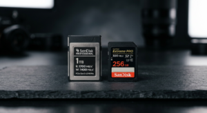 CFexpress Type B vs SD UHS-II for Professional Cameras