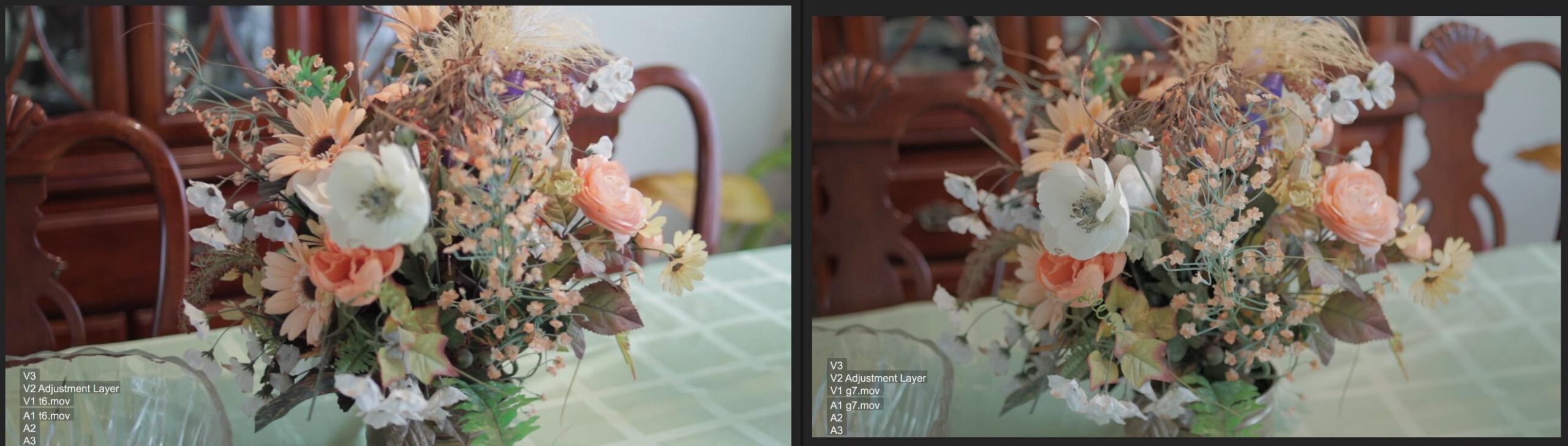 Datacolor SpyderCHECKR 24 - Color calibrate your camera for consistent image color across multiple camera systems/lighting conditions. Target color chart has 24 target colors + grey card. customer photo 2
