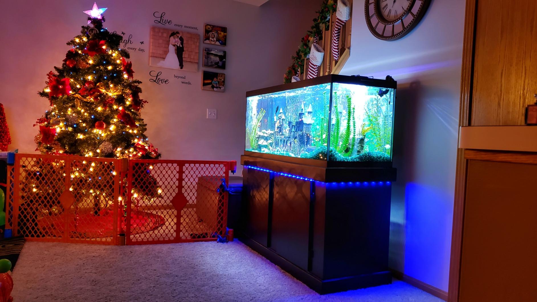 Bason TV LED Backlight for 55-65 inch TV, Bluetooth APP & Remote Control Strip Lights, Immersive Music Sync RGB USB Bias Lighting, Ambient TV Backlighting for Gaming, Movie & Home Theater Setup customer photo 1