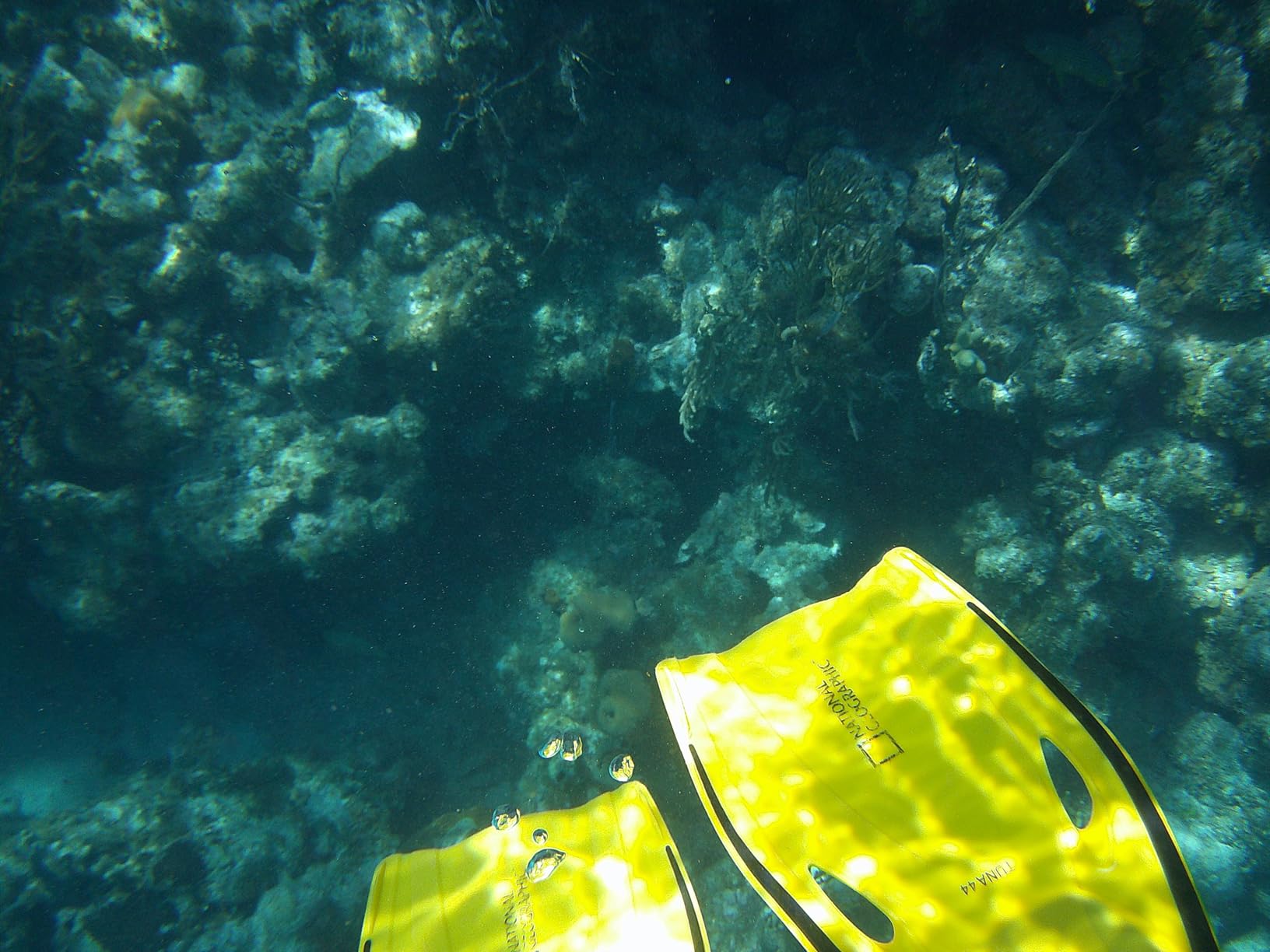 Underwater Camera 4K 48MP Autofocus Selfie Dual Screen Waterproof Camera with Floating Strap and 32GB Card, 17FT Compact Waterproof Digital Camera, Fill Light Underwater Camera for Snorkeling customer photo 1