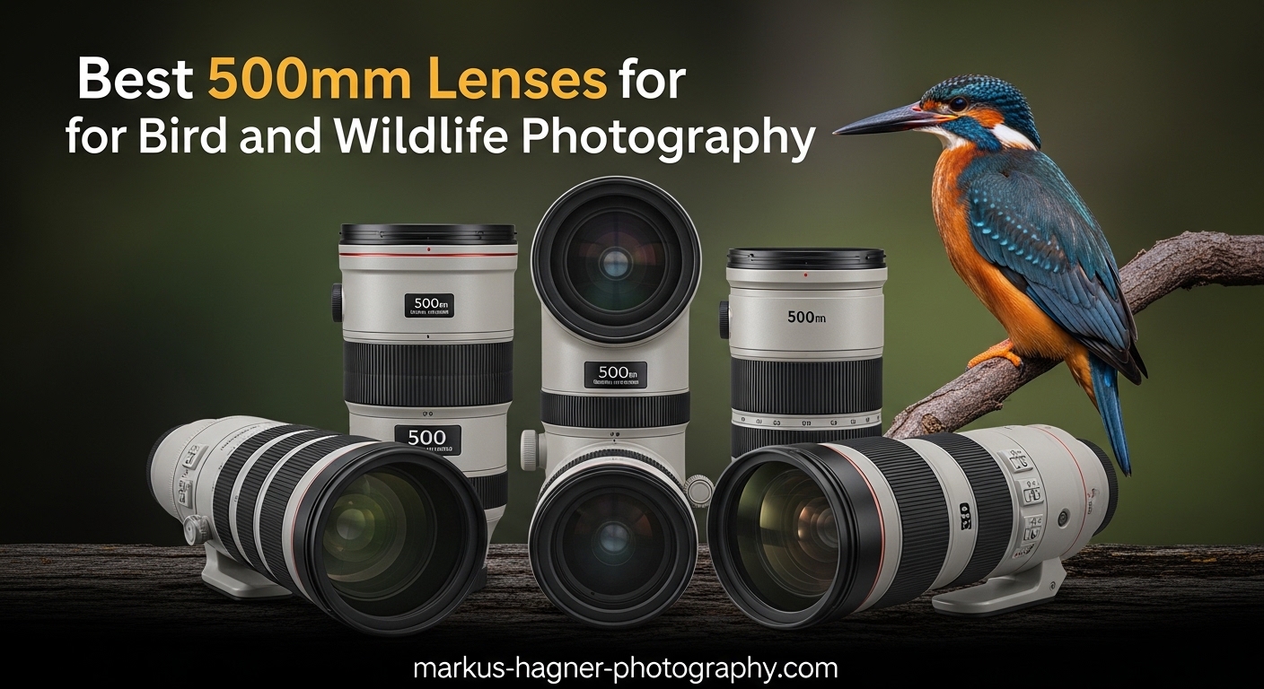 Best 500mm Lenses for Bird and Wildlife Photography