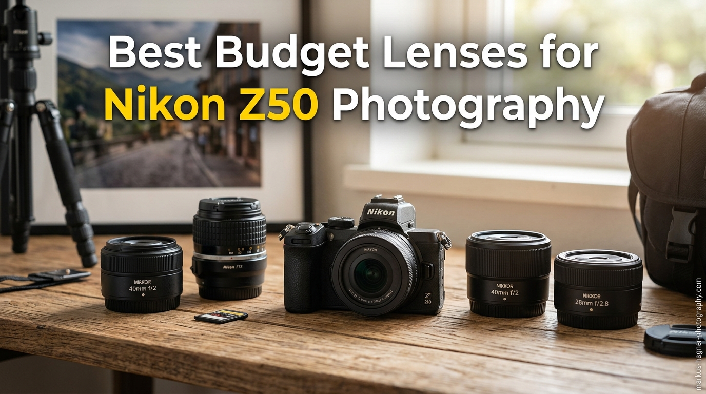 Best Budget Lenses for Nikon Z50 Photography