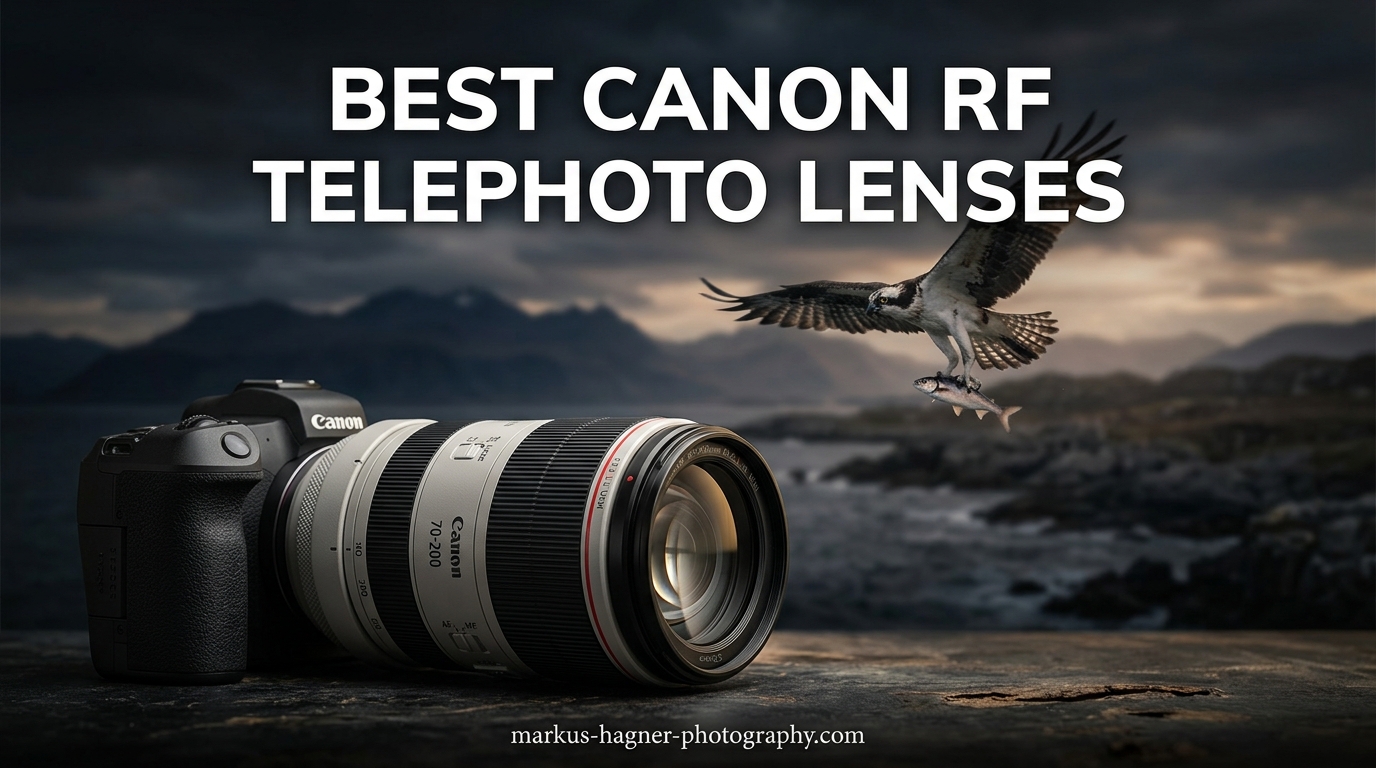 Best Canon RF Telephoto Lenses