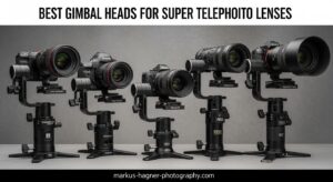 Best Gimbal Heads for Super Telephoto Lenses