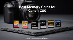 Best Memory Cards for Canon C80