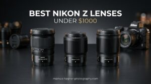 Best Nikon Z Lenses Under $1000