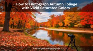 How to Photograph Autumn Foliage with Vivid Saturated Colors