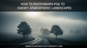How to Photograph Fog to Create Moody Atmospheric Landscapes