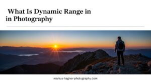 What Is Dynamic Range in Photography