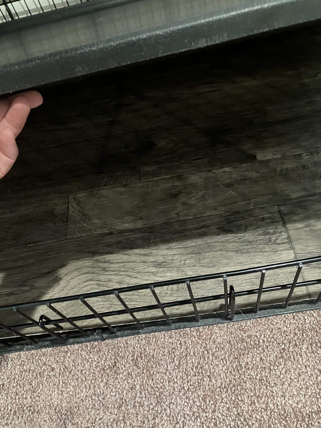 MidWest Homes for Pets 24-Inch iCrate for Small Breeds, 12-20 lbs, Single Door Folding Dog Crate with Divider Panel, Leak-Proof Tray & Secure Latch, Portable, Durable & Easy to Assemble customer photo 1