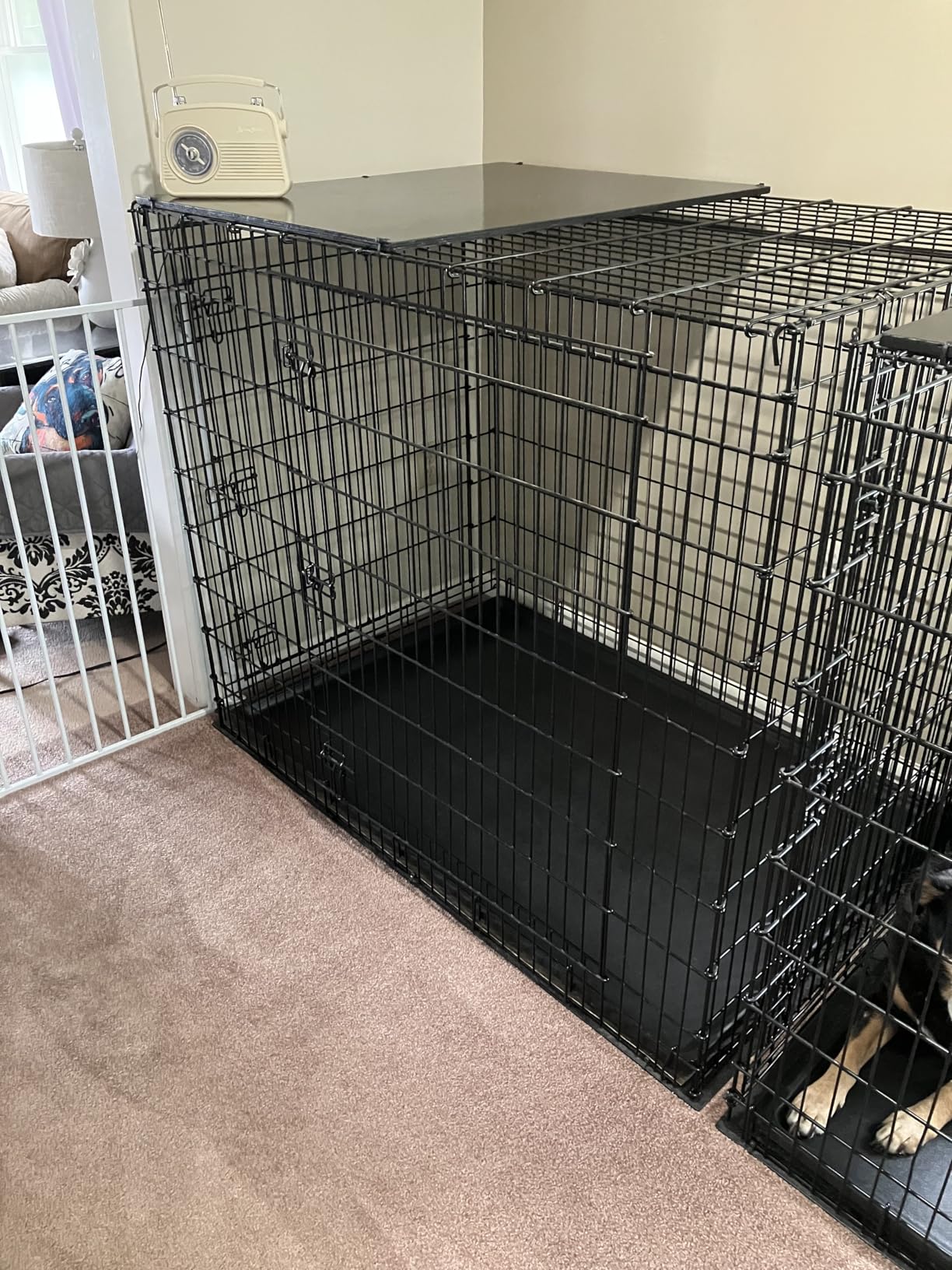MidWest Homes for Pets 36-Inch iCrate for Medium-Large Breeds, 41-70 lbs, Single Door Folding Dog Crate with Divider Panel, Leak-Proof Tray & Secure Latches, Portable, Durable & Easy to Assemble customer photo 1
