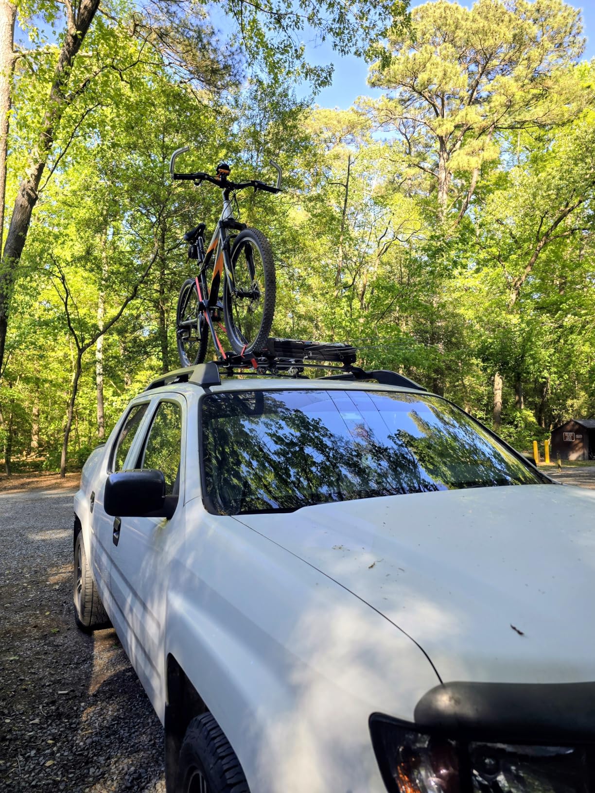 Swagman Upright Roof Mount Bike Rack - Rooftop Upright Bike Carrier for Secure Bicycle Transport customer photo 2