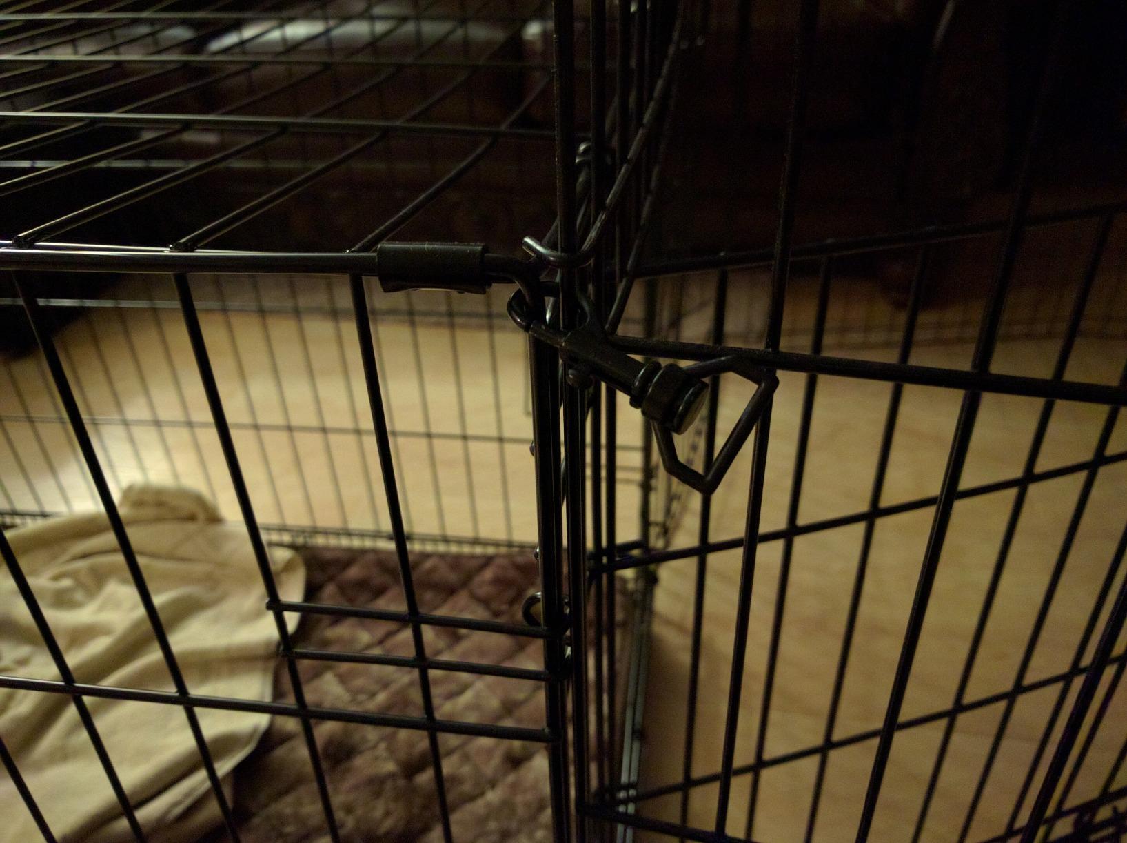 MidWest Homes for Pets 24-Inch Exercise Pen, for Indoor and Outdoor Use, 16 Sq Feet of Play, Single Door Folding Dog Pen, with Large Door Opening & Secure Latch, Easy to Set Up, Foldable Dog Playpen customer photo 1