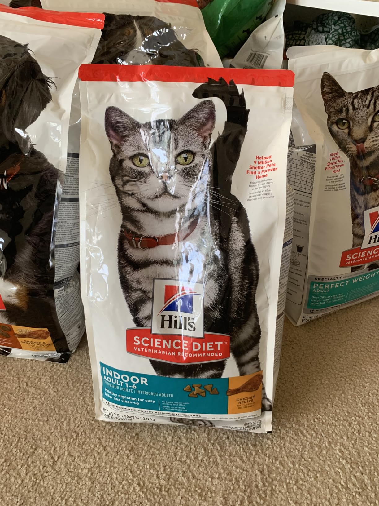 Hill's Science Diet Adult Sensitive Stomach & Skin Dry Cat Food, Chicken & Rice, 7 lb. Bag (Updated Formula) customer photo 2